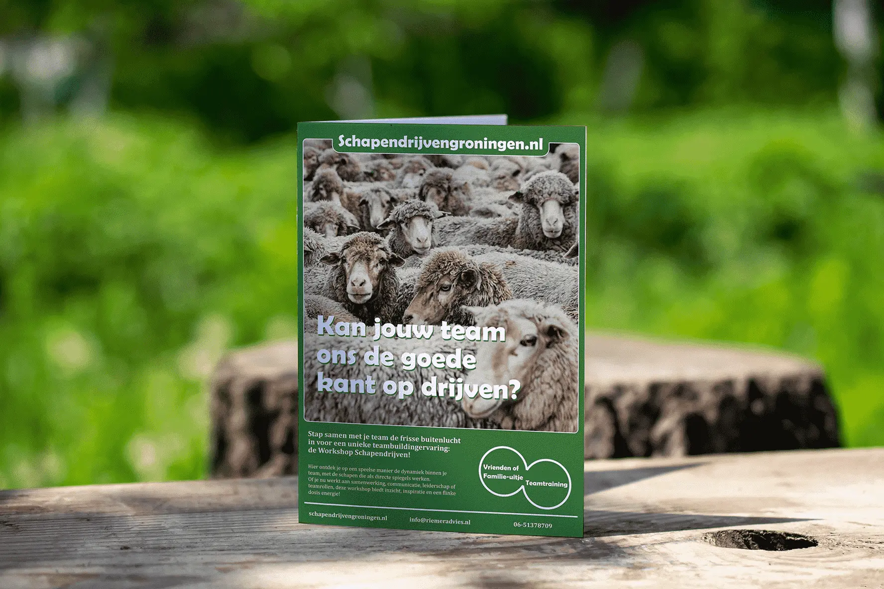 Schapendrijvengroningen.nl flyer